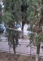 Севастопольцы жалуются на шум от бесполезной уборки листьев