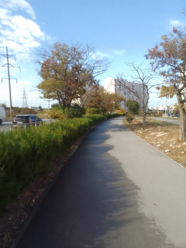 (notitle)
