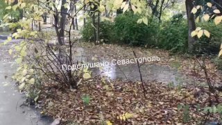 Жители Севастополя жалуются на затопление двора из-за проблем с ливневой канализацией