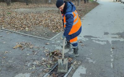 Осенняя поэзия: чистка ливневых решеток вдохновила на стихи о сухих листьях