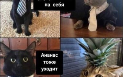 Работа в Севастополе: Подпишись на канал и найди свою мечту!