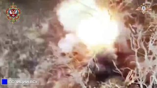 каталог Волчанск
