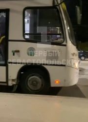 Севастопольские автобусы украсили к Новому году: дождик, снежинки и символ 2025 года
