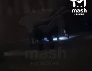 Тело девочки-подростка найдено у кинотеатра «Муссон» в Севастополе, предположительно, она упала с высоты