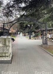 В Севастополе открылся вернисаж с ярмаркой и шахматами для творческих людей