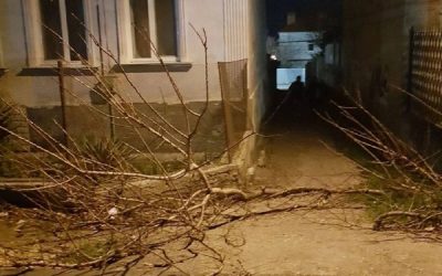 Жилец частного дома помешал работе пожарных, перегородив проход ветками