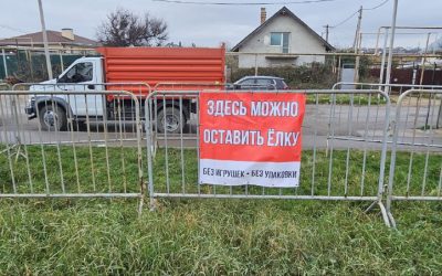 Куда сдать новогоднюю ёлку в Севастополе: адреса пунктов приёма