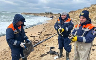 Ликвидация последствий выброса мазута в Севастополе: очищено 175,6 тонн грунта