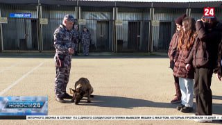 Севастопольский университет запускает дистанционное обучение проводников для полицейских собак
