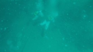 Водолазы МЧС России собирают мазут под пирсом в Витязево