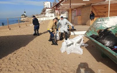 Ликвидация последствий выброса мазута в Севастополе: 609 тонн грунта вывезено