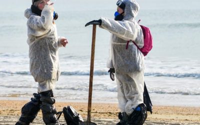 Роспотребнадзор проверяет воду, песок и грунт в Севастополе после разлива мазута