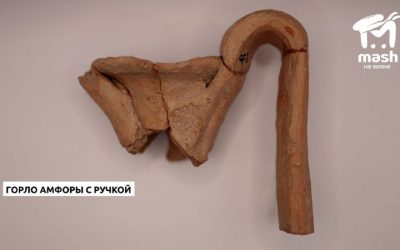 Археологи СевГУ нашли остатки хозпостроек и виноградников на будущем Античном проспекте в Севастополе