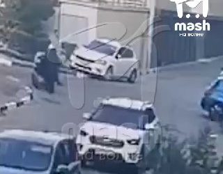 Домашняя собака напала на мужчину в Севастополе, хозяин не реагирует на агрессию