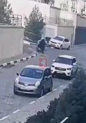 Полиция Севастополя проверяет нападение собаки на мужчину