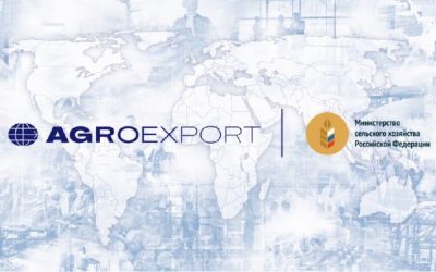 Рост поставок российской сельхозпродукции в Африку на 19% до $7 млрд к 2024 году