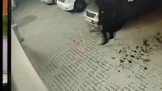 Житель Севастополя украл коньяк на 7 тыс. рублей, пытаясь купить сигареты