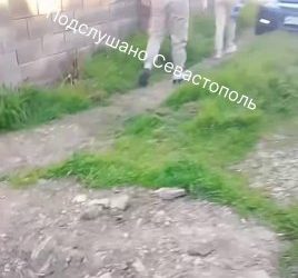 Неадекватные люди устроили дебош в Севастополе, полиция проводит проверку