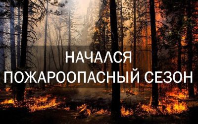 Пожароопасный сезон начался в Крыму с 1 апреля — МЧС предупреждает о запретах