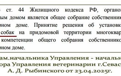 Севастополь разрешит будки для бездомных собак под окнами многоквартирных домов