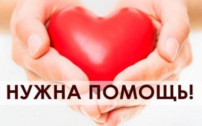 Севмамы отчитались о строительных итогах за апрель 2025 года: ремонт отопления, фасада и подвала