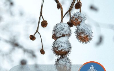 Сильный дождь и мокрый снег обрушатся на Севастополь 7 апреля