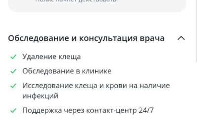 Страхование от клещей в Севастополе: обзор цен и рекомендации по действиям при укусе