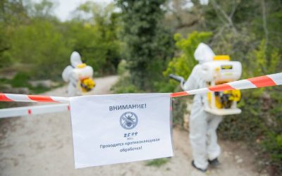 В Севастополе началась противоклещевая обработка природных парков