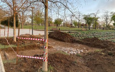 В Севастополе построят часовню-памятник жертвам трагедии в Учкуевке