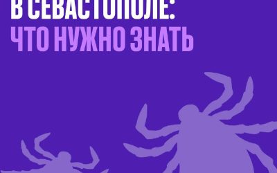 В Севастополе работают лаборатории для исследования клещей на опасные заболевания