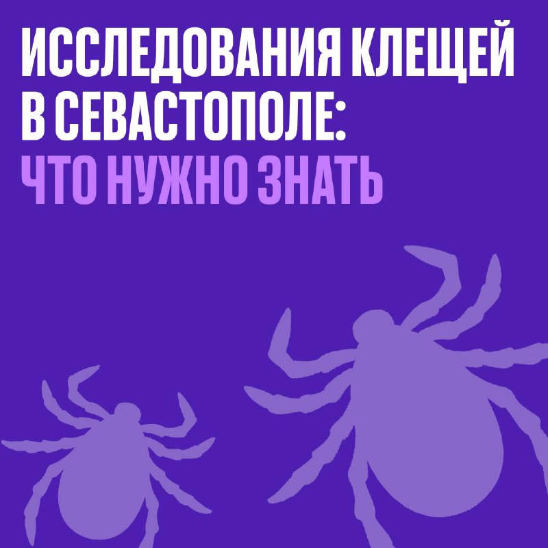 (notitle)