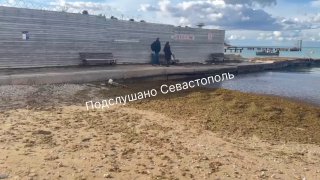 Жители Севастополя предлагают провести субботник на пляже «Песочный»