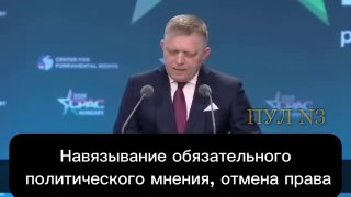 Фицо предупреждает о риске большой войны и угрозе демократии в ЕС