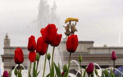 Москва открывает фонтаны: летний сезон в столице официально начался