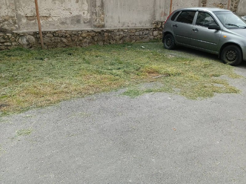 (notitle)