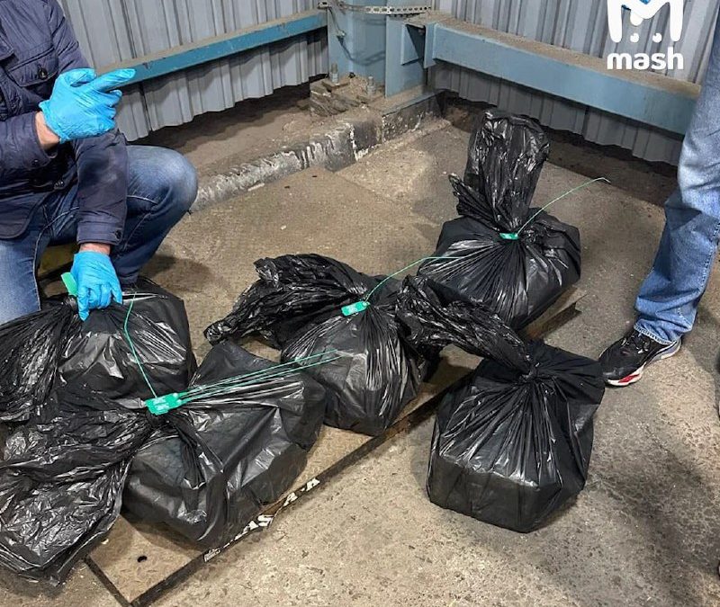 Полмиллиарда рублей: в порту Санкт-Петербурга обнаружили крупную партию кокаина