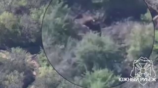 Разведка и точные удары: ВСУ демонстрируют мощь разведывательно-ударного контура
