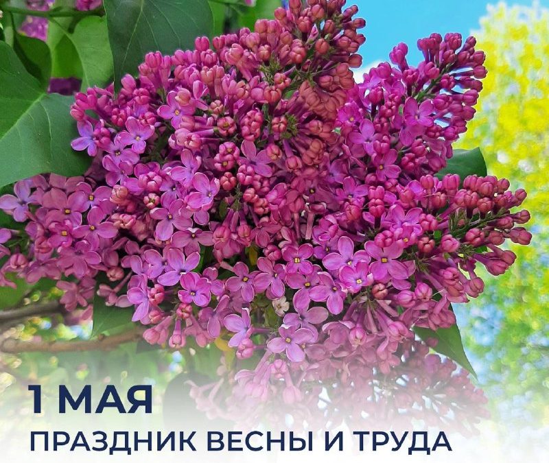Севастопольцев поздравили с Праздником Весны и Труда, отметив вклад в помощь фронту