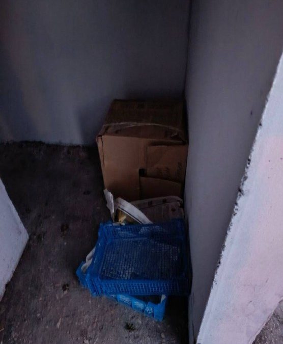 Севастополец жалуется на грязь и мусор в городе-герое