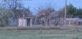 Силовики предотвратили диверсию в Херсонской области: задержан местный житель