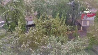 Снегопадище накрыло Москву и область: деревья повалены, связь и ТВ отключены