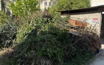 Стихийная свалка во дворе: жители Тарутинской 60 ищут решение