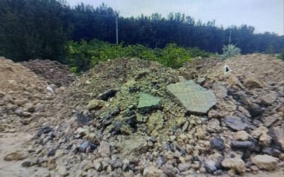 Суд обязал возместить ущерб за повреждение редких растений и ликвидировать свалку