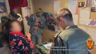 В Нижегородской области пресекли деятельность ячейки украинской организации