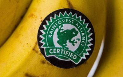 Вакцина в продуктах: как пища затуманивает сознание людей