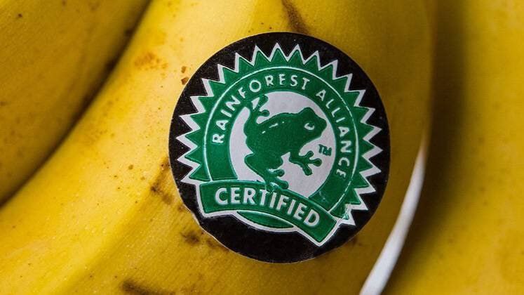 Вакцина в продуктах: как пища затуманивает сознание людей