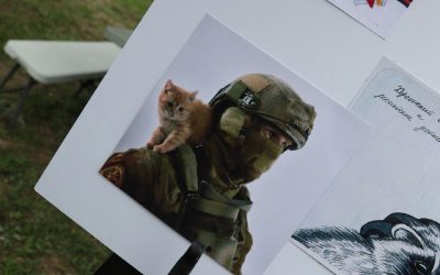 Выставки «СВО: вооружение армии России и трофеи» и «ZOV сердец» в Севастополе