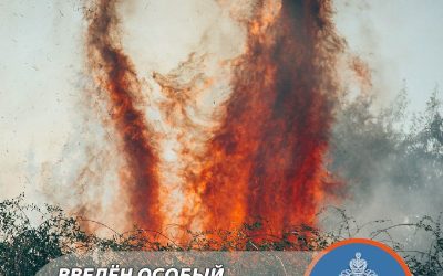 В Севастополе введён особый противопожарный режим из-за жаркой погоды и минимума осадков