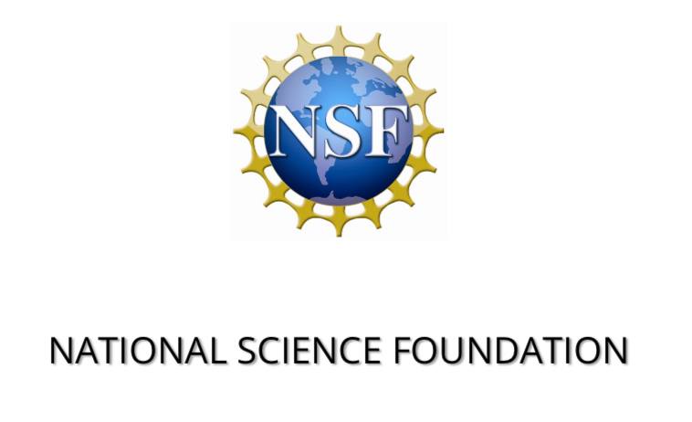 Американская наука в упадке: NSF сокращает финансирование на 61,7%