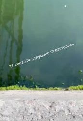 Канализационные стоки загрязняют море на набережной Балаклавы в Севастополе